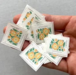 What Are Forever Stamps
