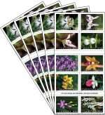 Wild Orchids Forever Stamps