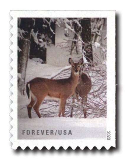 Winter Scenes Forever Stamps