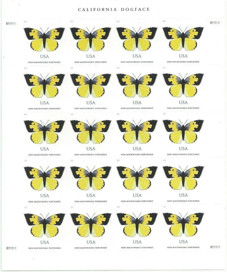 $1.12 California Dogface Butterfly