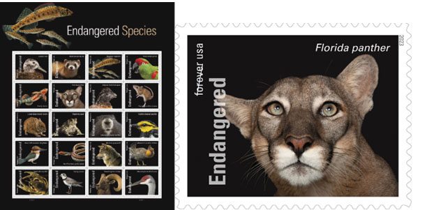 Endangered Forever Stamp