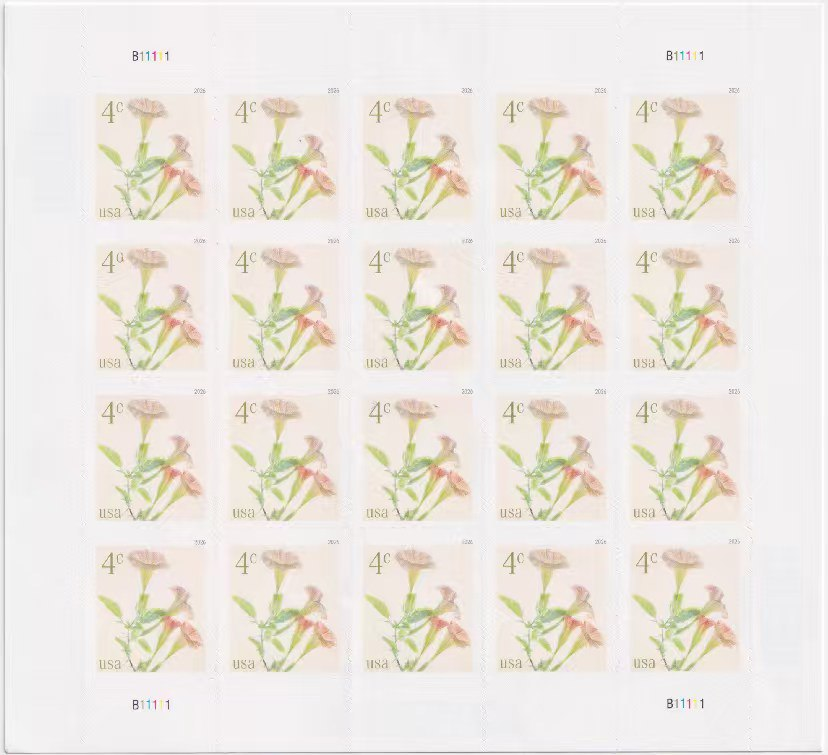 2026 Angel's Trumpets 4-Cent Stamps – 100 Stamps