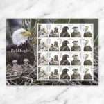 2026 Bald Eagle: Hatchling to Adult Forever Stamps – 100 Stamps